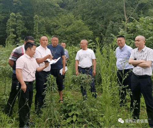 市政府召開研究解決新建生豬規(guī)模養(yǎng)殖場(chǎng)有關(guān)問(wèn)題的會(huì)議