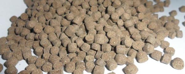 綠色食品動(dòng)物養(yǎng)殖允許使用的動(dòng)物源性飼料包括