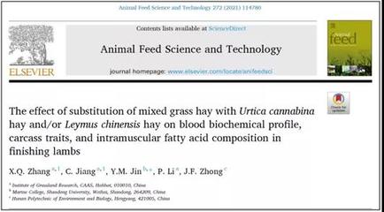 [創(chuàng)新內(nèi)蒙古]科研人員發(fā)現(xiàn)麻葉蕁麻能提高羊肉營養(yǎng)品質(zhì)