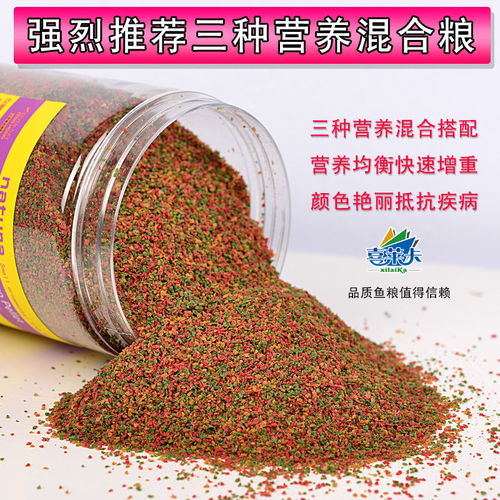 小型熱帶魚飼料的選擇與喂養指南