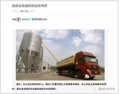 飼料告急！湖北龍頭養雞企業僅剩3天庫存，畜牧業協會緊急呼吁救急