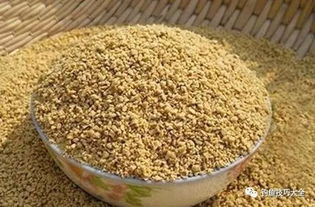 DIY自制釣鯽魚(yú)餌料配方 從入門到精通的飼料科學(xué)