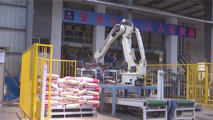 年產(chǎn)值10億元！湖北丹富仕飼料項(xiàng)目建成投產(chǎn)，為畜牧養(yǎng)殖注入強(qiáng)勁動(dòng)力